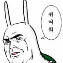 그린도넛