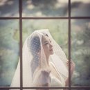 다미인 네이버블로그