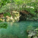 평창동강로 이미지