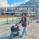 풀스테이스테이펫홍천 | 애견동반 갈만한곳 풀스테이 스테이펫 홍천 경기도 근교 독채 풀빌라 수영장 펜션 숙소 추천