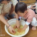 참나무반 6월 3주차 이미지
