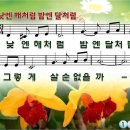 낮엔해처럼밤엔달처럼 이미지