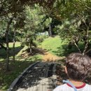 신기리신발 이미지