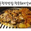 모텔돼지꿈 이미지