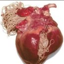 아빠손동물병원 이미지