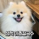 이층칼국수