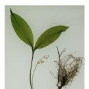 좌4동-2 이미지