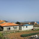 고대도4 이미지