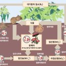 세기비료 이미지