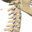 조인트한의원 이미지