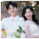 강상준 카카오 검색결과