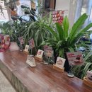 파이인더샵 용산점 이미지