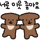 록키맥주 이미지