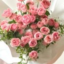 강남-275 이미지