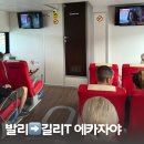 바이오케이 | 발리 길리섬 가는법 이지길리 에카자야 빠당바이 현장 구매 후기