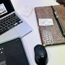 [지난 주 일상] 코이카 노션 강의하고, 인사이트 충전을 위한 아나싸롱 강연+부산콘텐츠코리아랩에서...