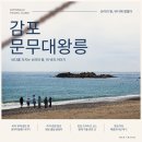 태종횟집 | 경주 감포 문무대왕릉 여행 가이드, 주차부터 주변 맛집까지