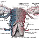 청암한의원 이미지
