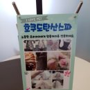 펫브릿지 김해점 이미지