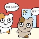 삼십일일(31 1) | 나의 일주일 포토덤프 6️⃣