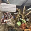 경주대학교 | 🦜경주 버드파크 후기｜아이랑 가기 좋은 경주 여행