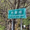 천왕재 번지없는 주막집 이미지