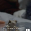 1123 | [일상블로그] 1115-1123 / 가평 베고니아 새 정원 후기 🦉🦢🦆✨