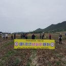 신안군청 이미지