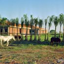 축복농장 이미지