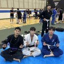 파이트짐 | 2026 더파이트 주짓수 챔피언십 출전 후기! 마들주짓수 전원 입상🥇🥇🥈 [노원 주짓수][마들 주짓수...