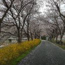 대강중학교 이미지