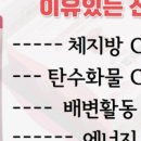내모메