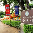 대구 동대사 고려불경 일괄 이미지