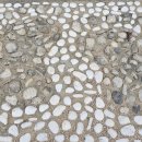 관천초등 이미지