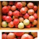 김정태 농장 이미지