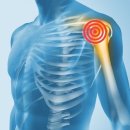 송월로32번길 이미지