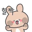 하운드호텔덕진점 이미지