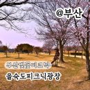 백민미술관 광장 주차장 | 부산 벚꽃 피크닉 을숙도 생태공원 피크닉광장 실시간 벚꽃 개화후기