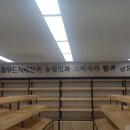 조천농협주유소 이미지