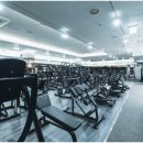 헬스 맛 짐 이미지