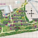 한종농장 | 라벤더향기가 가득했던 케임브리지대학식물원 향기정원 (Cambridge University Botainic Gardens)