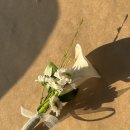 진등2길 | [봉담 무인 꽃집] 웨딩 본식 부케, 부토니아, 코사지 주문 제작 후기_버드 플라워
