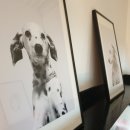 멍떼루와 이미지