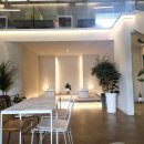 하늘비 홍삼원 이미지