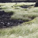 제주마을 이미지