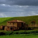 고양이이야기 이미지