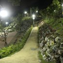 진동근린공원 이미지