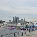 대교인쇄 | [광안리요트투어] 부산 광안리 노을 요트투어, 광안대교를 바다 위에서 만나다.