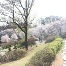 임학공원 장승 이미지