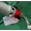 미드미동물의료센터 이미지